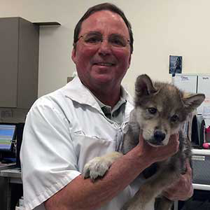 Dr. Bruce Singbeil, DVM - Veterinarian